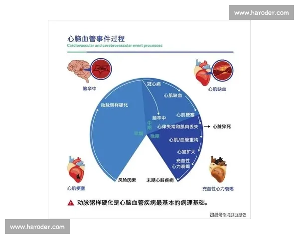 全面解析个体化健康管理策略与生活方式优化方法